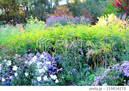 北海道紀行　　　9月下旬の上野ファーム　前編　　　紅葉の上野ファーム 119814278