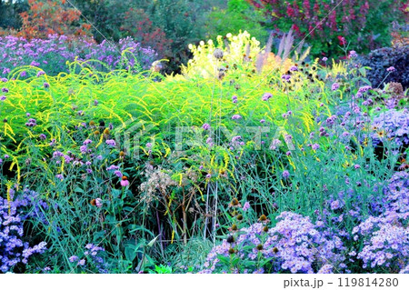 北海道紀行 9月下旬の上野ファーム 前編 紅葉の上野ファーム 北海道紀行 9月下旬の上野ファーム 前編 紅葉の上野ファーム 119814280