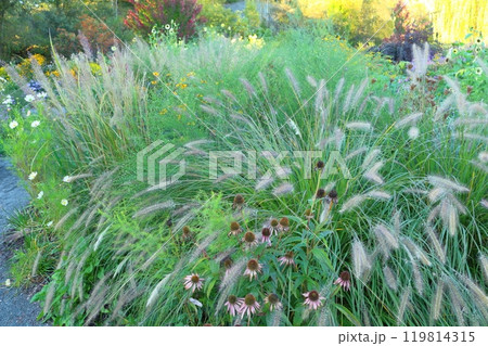 北海道紀行　　　9月下旬の上野ファーム　前編　　　紅葉の上野ファーム 119814315