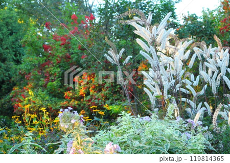 北海道紀行　　　9月下旬の上野ファーム　前編　　　紅葉の上野ファーム 119814365