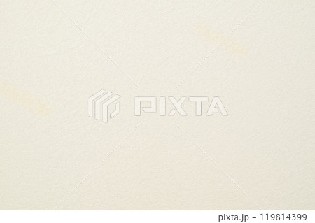 和紙と写真用紙のコラボ【背景素材】（白色・無地） 119814399