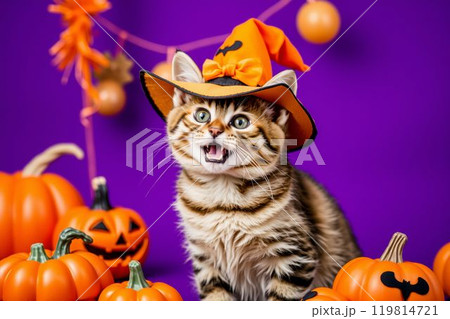 ハロウィンの飾りと魔女の帽子をかぶったタビー猫 119814721