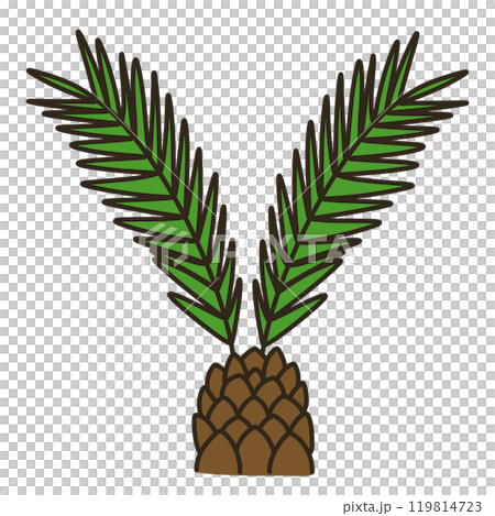 蘇鐵 蘇鐵 119814723