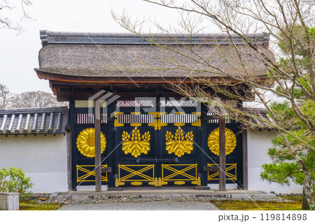 京都 醍醐寺三宝院 唐門(勅使門) 京都 醍醐寺三宝院 唐門(勅使門) 119814898