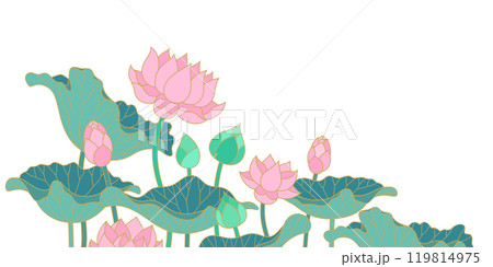 lotus flowers and leaves flat outline design lotus flowers and leaves flat outline design 119814975