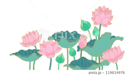 lotus flowers and leaves isolated corner decoration 119814976