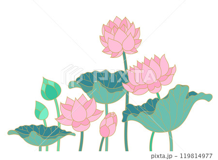 lotus water lily flowers and leaves thai style illustration 119814977