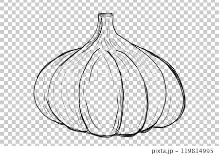 Hand drawn garlic icon. badge vegetable in the old ink style for brochures, banner, restaurant menu and market. Elegant Garlic Icon - Intricate Black and White for Cooking, Nature, and Art Projects 119814995