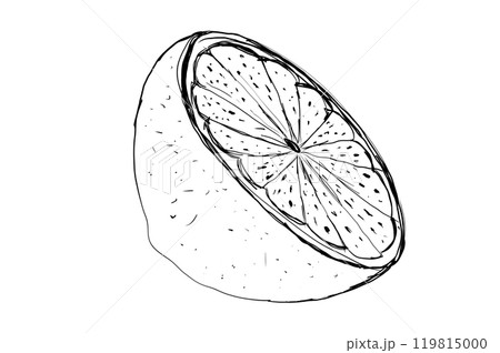 Illustration, outline of a lemon isolate. Lemon line icons set illustration. Hand drawn outline whole citrus with peel and natural Illustration, outline of a lemon isolate. Lemon line icons set illustration. Hand drawn outline whole citrus with peel and natural 119815000