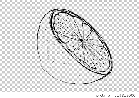 Illustration, outline of a lemon isolate. Lemon line icons set illustration. Hand drawn outline whole citrus with peel and natural Illustration, outline of a lemon isolate. Lemon line icons set illustration. Hand drawn outline whole citrus with peel and natural 119815000