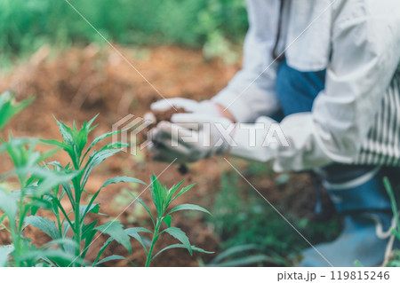 土を見る農家 119815246