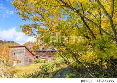 秋の尾瀬　草紅葉と森の紅葉　燧裏林道 119815355