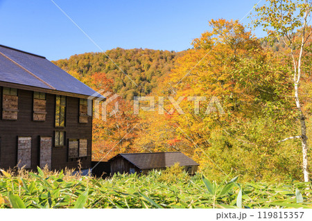 秋の尾瀬 草紅葉と森の紅葉 燧裏林道 秋の尾瀬 草紅葉と森の紅葉 燧裏林道 119815357