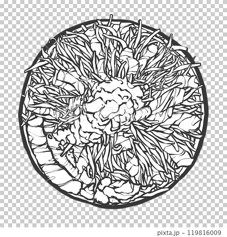 Hand-drawn illustration of a large serving of ramen Hand-drawn illustration of a large serving of ramen 119816009