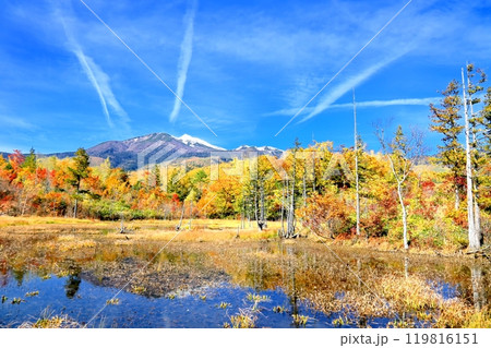 乗鞍高原の紅葉と乗鞍岳 乗鞍高原の紅葉と乗鞍岳 119816151