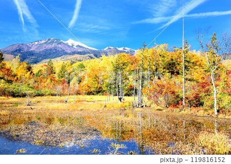 乗鞍高原の紅葉と乗鞍岳 乗鞍高原の紅葉と乗鞍岳 119816152