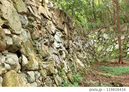 安土城の本丸跡を囲む石垣 119816416