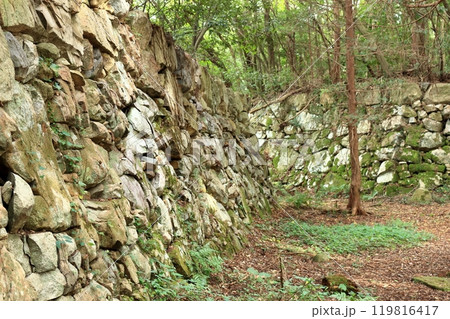 安土城の本丸跡を囲む石垣 119816417