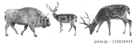 Set of retro photocopy wild animals. Deer, bison. Trendy halftone style for collages. 119816434