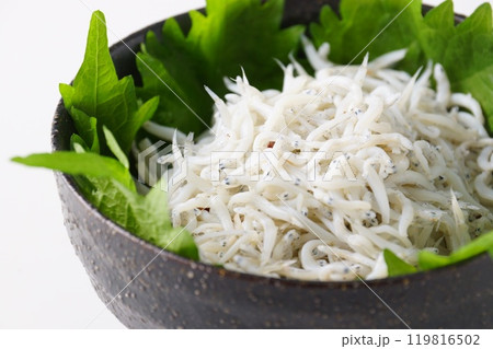 釜揚げしらす 119816502