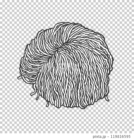 細ちぢれ麺の手書き筆絵風イラスト 細ちぢれ麺の手書き筆絵風イラスト 119816595