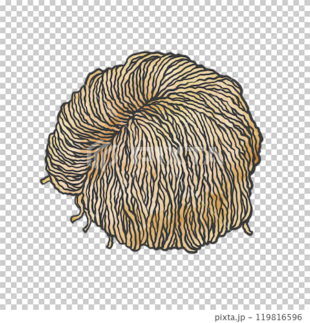 細ちぢれ麺の手書き筆絵風イラスト 119816596