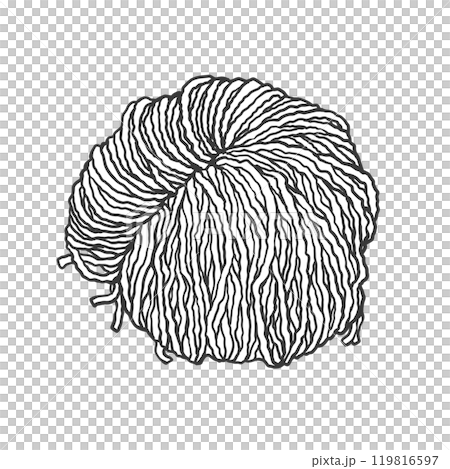 中太ちぢれ麺の手書き筆絵風イラスト 中太ちぢれ麺の手書き筆絵風イラスト 119816597