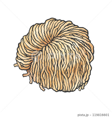 太ちぢれ麺の手書き筆絵風イラスト 119816601
