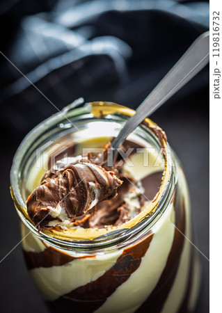 Chocolate cream spread on  spoon. 119816732