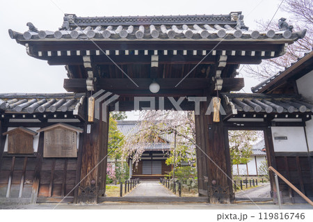 上品蓮台寺 山門から見える境内の見事な桜 上品蓮台寺 山門から見える境内の見事な桜 119816746