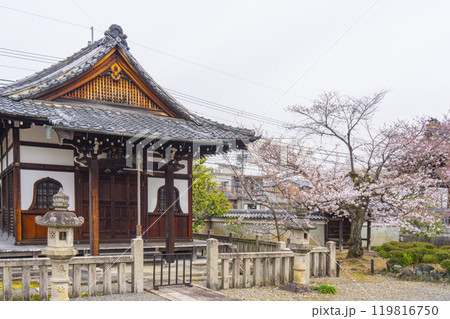 上品蓮台寺 大師堂と見事な桜 上品蓮台寺 大師堂と見事な桜 119816750