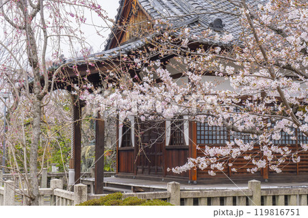 上品蓮台寺　大師堂と見事な桜 119816751