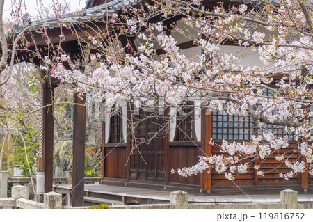 上品蓮台寺　大師堂と見事な桜 119816752