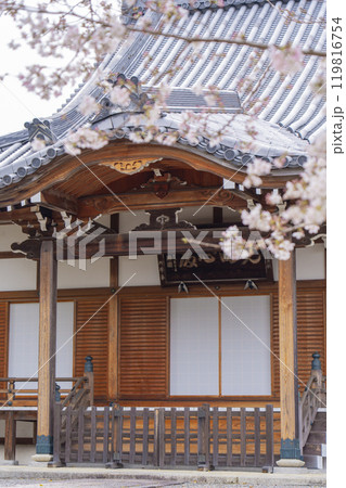 上品蓮台寺　本堂と見事な桜 119816754