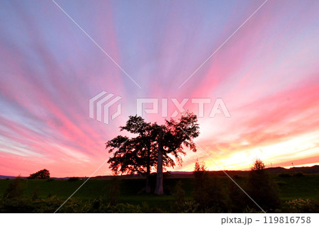 夕焼け 119816758