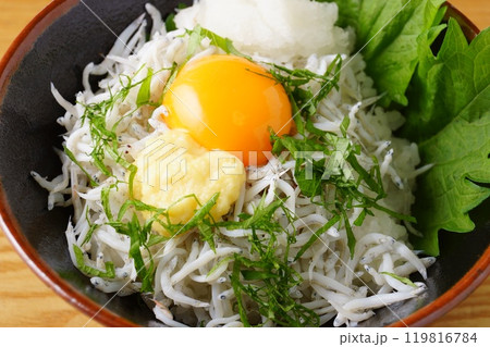 釜揚げしらす丼 119816784