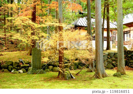 貞祥寺の紅葉 貞祥寺の紅葉 119816851