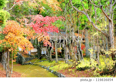 貞祥寺の紅葉 119816854