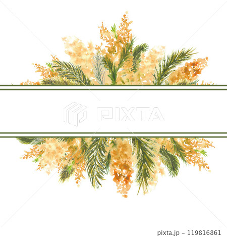 Geometric frame with Mimosa branches on the outer edge on a white isolated background. Watercolor illustration. 119816861