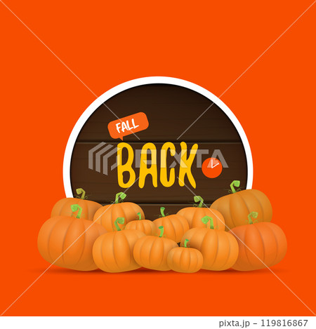 Fall Back 2024. Autumn Daylight saving time ends banner with pumpkins isolated on orange background. 119816867
