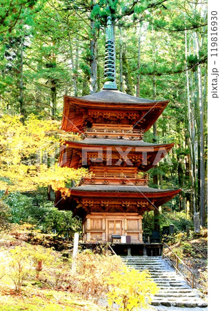 光前寺三重塔と紅葉 光前寺三重塔と紅葉 119816930