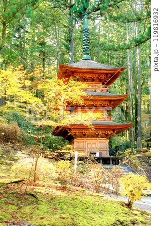光前寺三重塔と紅葉 119816932