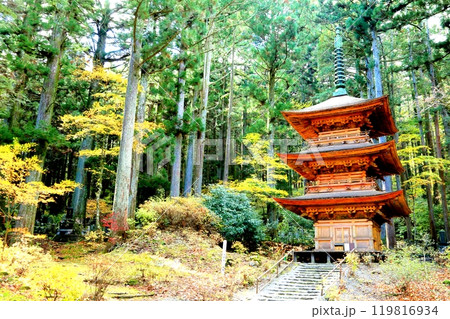 光前寺三重塔と紅葉 光前寺三重塔と紅葉 119816934