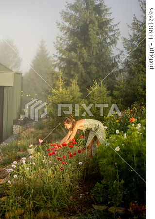 Morning Harvest in the Garden Morning Harvest in the Garden 119817395
