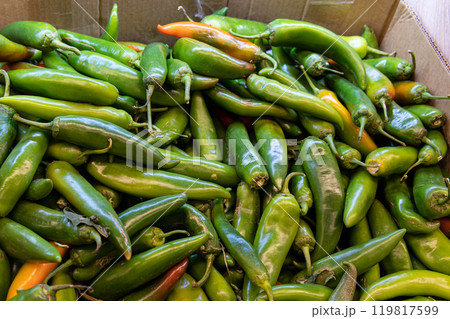 food green vegetarian healthy vegetable fresh ingredient ripe nature plant pepper natural organic 119817599
