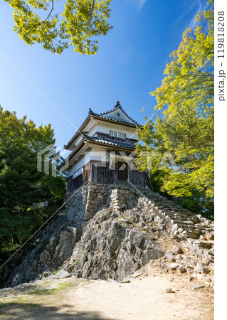 岡山県備中松山城 岡山県備中松山城 119818208