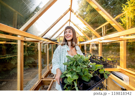 Harvesting Fresh Greens in the Greenhouse Harvesting Fresh Greens in the Greenhouse 119818342