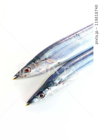 サンマ　秋刀魚　さんま 119818740
