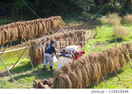 秋の里山で稲架掛の稲を脱穀する農民の風景 119818846