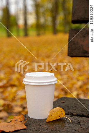 Eco zero waste white paper cup copy space mockup in wooden bench in park. Fall leaves and cup of tea coffee to go next to autumn nature. Unite with nature Eco zero waste white paper cup copy space mockup in wooden bench in park. Fall leaves and cup of tea coffee to go next to autumn nature. Unite with nature 119819024